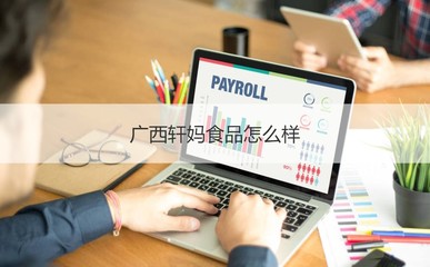 廣西軒媽食品公司概覽 工作時(shí)間、發(fā)展與計(jì)算機(jī)軟硬件業(yè)務(wù)